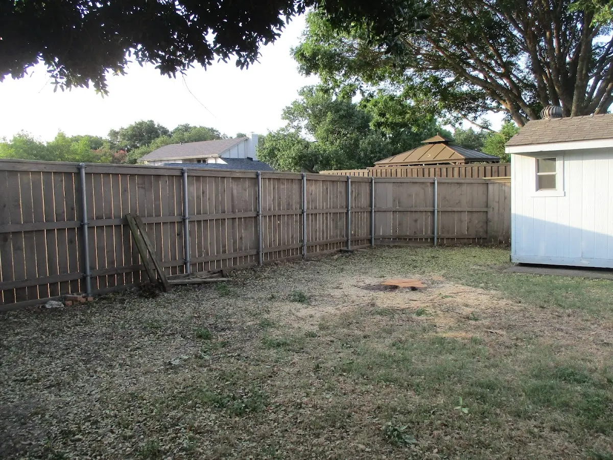 Cleared yard after professional tree removal in Brayton